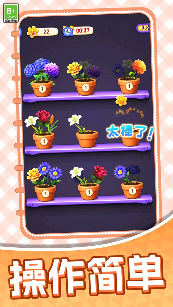 彩花消除官方正版截图1