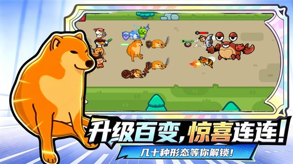 刀盾进化之路游戏官方版截图1