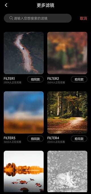 怎么调滤镜截图2