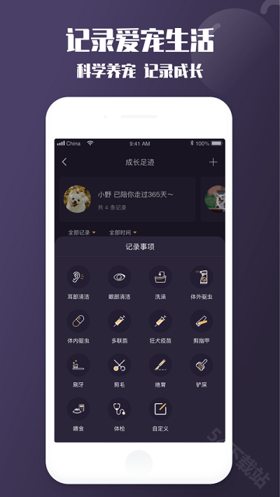 憨憨宠物