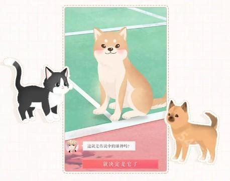 怎么领取宠物配图2