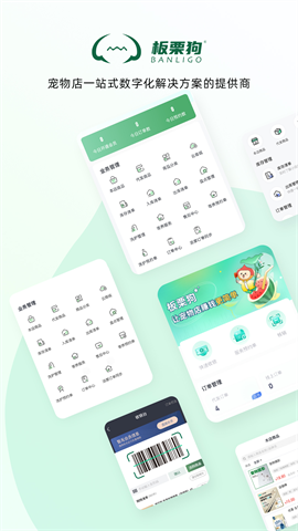 板栗狗