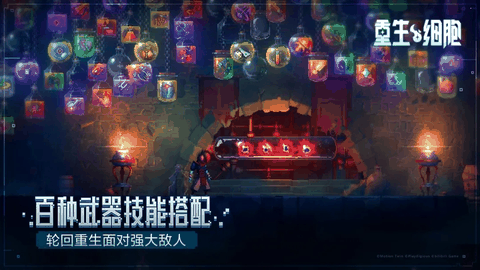 重生细胞手游下载截图1