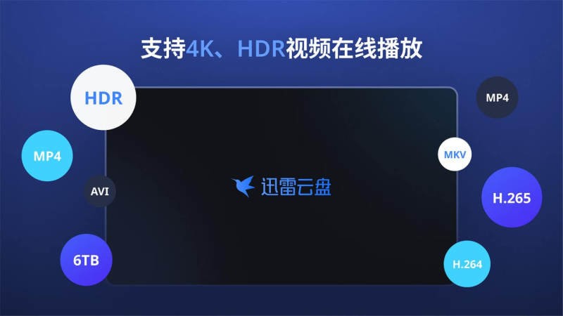 迅雷云盘tv版最新下载截图1