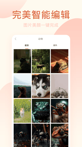 趣趣相机app下载截图1